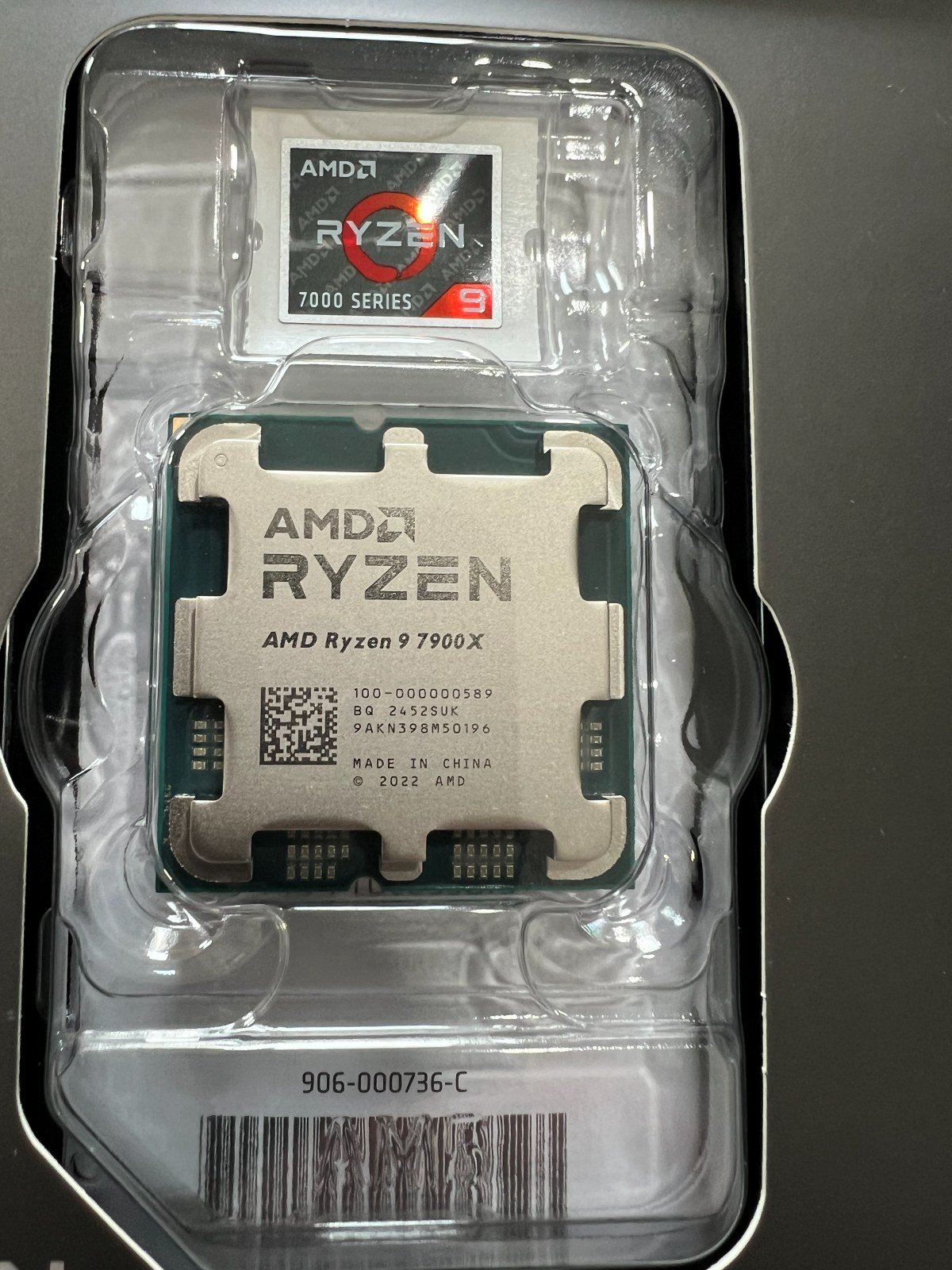 AMD Ryzen 9 7900X, 12 cores. Chosen for parallel rendering rather than to hit a price point.